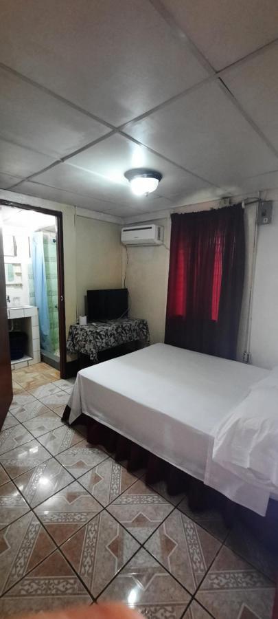 Tropical Dreams Hostel South End Buitenkant foto